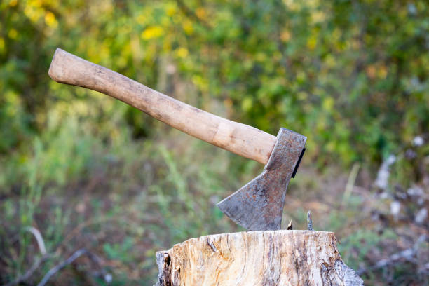 istock iron axe with wooden grip on stump in autumn forest 673603812