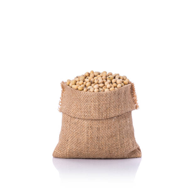 istock Soybean in small sack. Studio shot isolated on white background 673604270