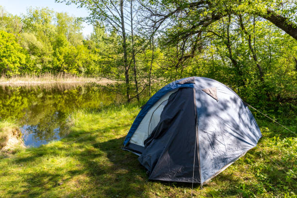 istock tourist tent in forest 673604692