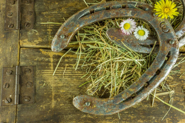 istock Old horseshoe with hay and flowers on a rustic wooden background 673607900