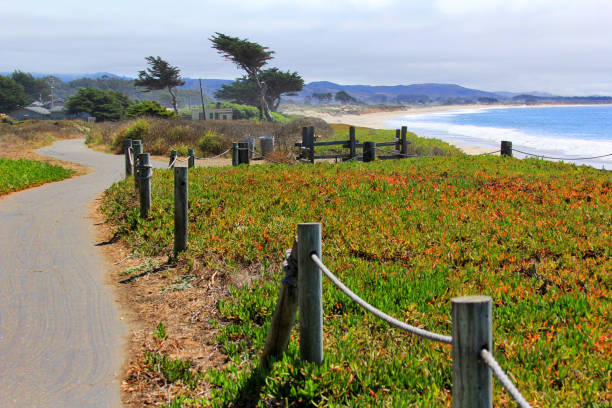istock Coast Half Moon Bay. California, USA 673608260