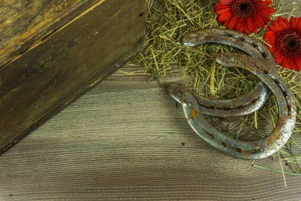 istock Old horseshoe with hay and flowers on a rustic wooden background 673612924