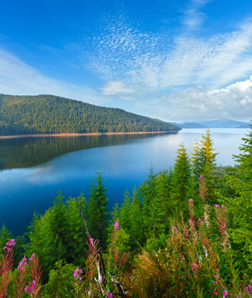 istock Alpine Lake Vidra summer  view 673616696