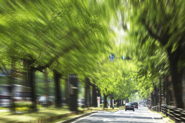 istock Hotel Keihan of verdure 673620842