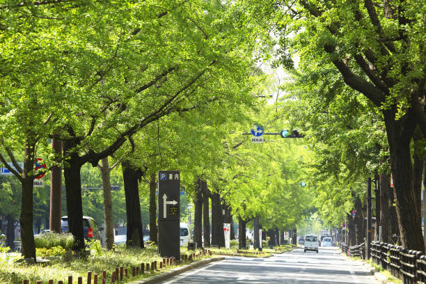 istock Hotel Keihan of verdure 673620868