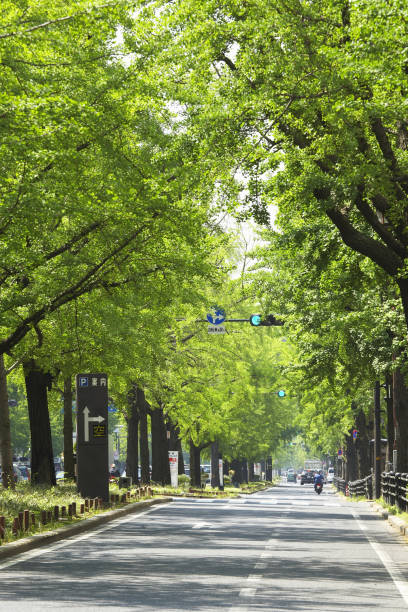 istock Hotel Keihan of verdure 673620890