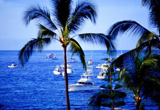 Fishing boats return to port.