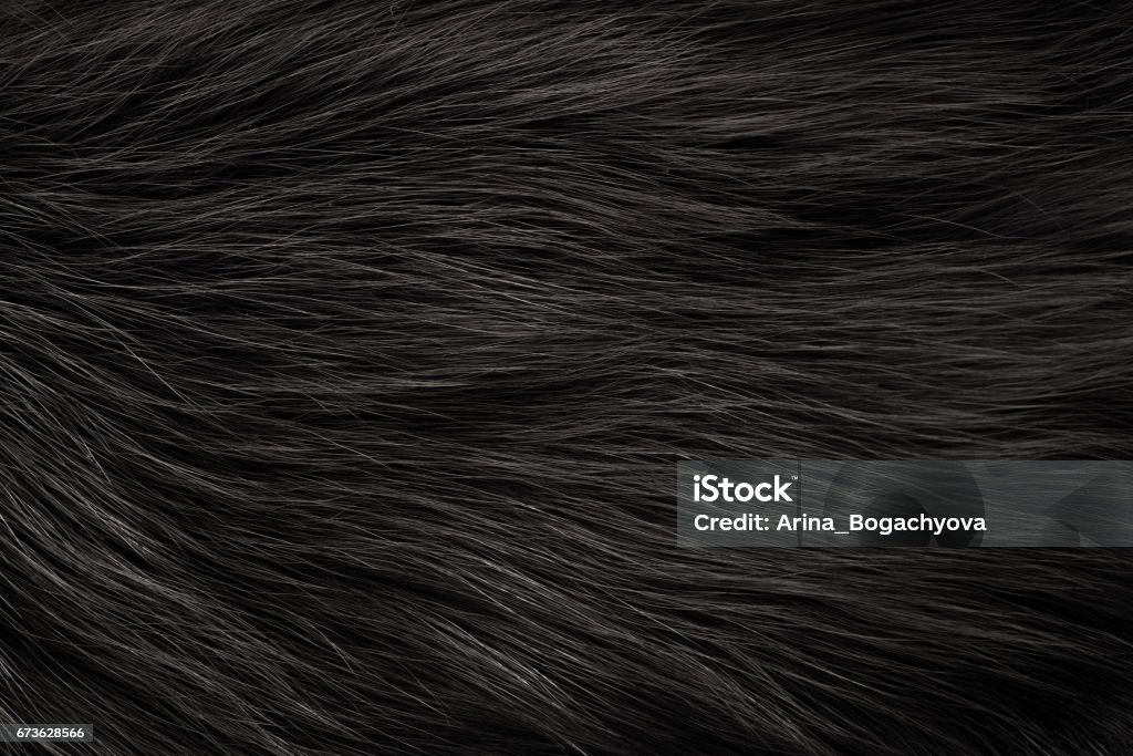 Fur texture Texture of fox fur with long pile Animal Hair Stock Photo