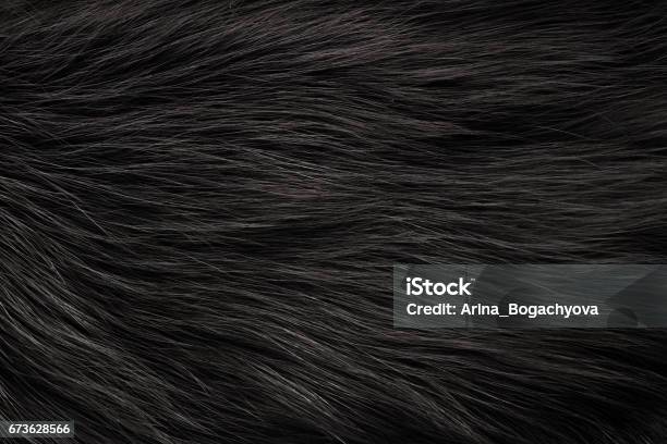 Fur Texture Stock Photo - Download Image Now - Animal Hair, Fur, Textured