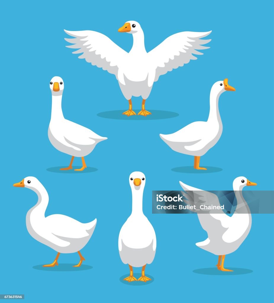 White Goose Poses Cartoon Vector Illustration Stock Illustration - Download  Image Now - Goose - Bird, Duck - Bird, Cartoon - iStock