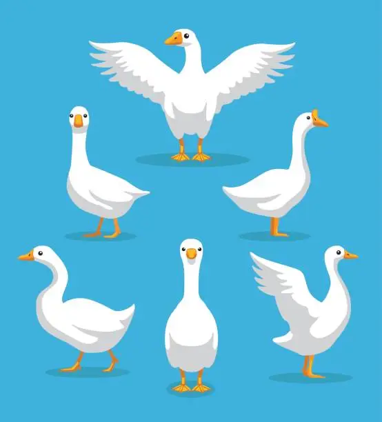 Vector illustration of White Goose Poses Cartoon Vector Illustration