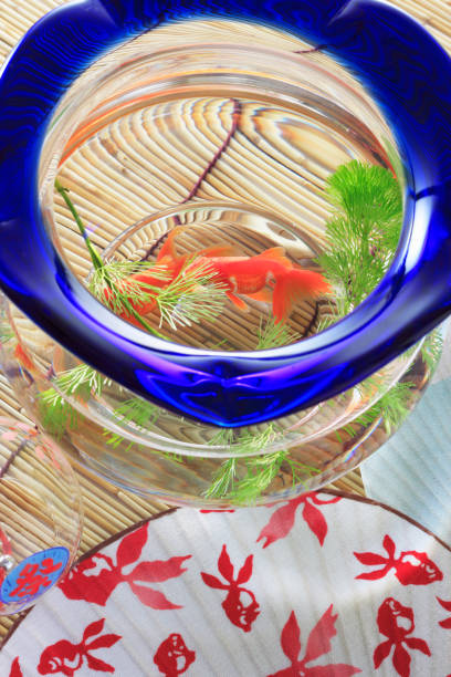 I'm not like others - be different concept - goldfish jumping in a bigger fish bowl. 3d render illustration