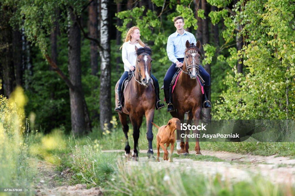 Joven pareja feliz disfrutando de paseo a caballo en un bosque de verano. - Foto de stock de Caballo - Familia del caballo libre de derechos