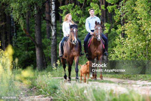Joven Pareja Feliz Disfrutando De Paseo A Caballo En Un Bosque De Verano Foto de stock y más banco de imágenes de Caballo - Familia del caballo