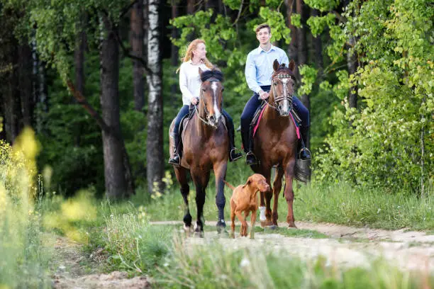 Photo of Young happy couple enjoying horse ride in a summer forest.