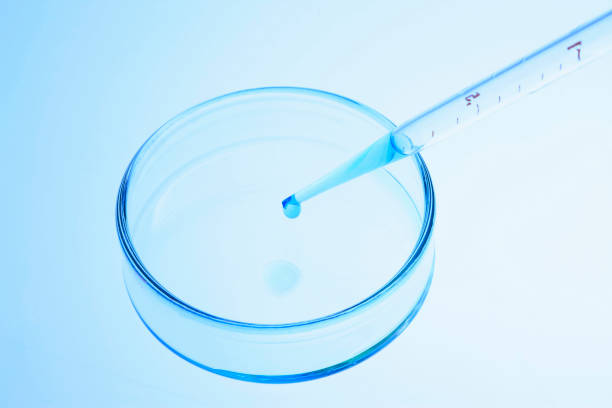 istock Petri dish with eyedropper 673640836