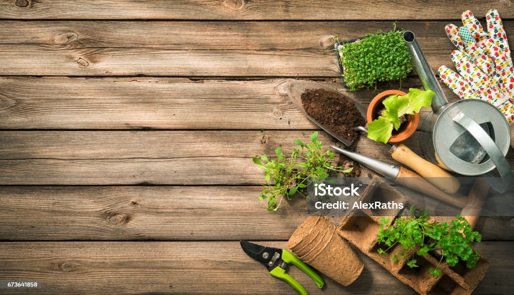 Attrezzi da giardinaggio, semi e terreno su tavolo in legno - Foto stock royalty-free di Giardinaggio