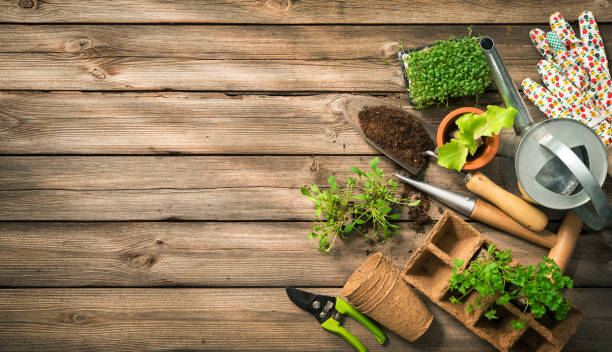 ガーデニング ツール、種子や土壌木製テーブルの上 - ガーデニング ストックフォトと画像