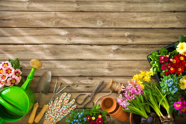 Gardening Gardening tools and flowers on wooden table narcissus mythological character stock pictures, royalty-free photos & images