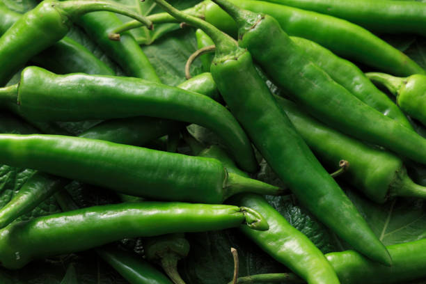 istock Sesame leaves and green chillies 673664316