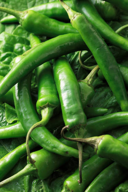 istock Lettuce Greens with green pepper 673664416