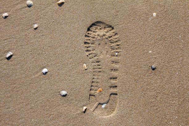 Shoe imprint in the sand of a beach with small shells