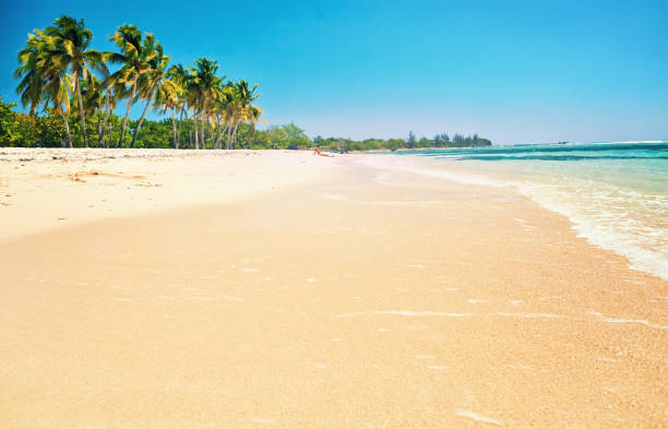 istock Beach sand blue sky Caribbean Sea Cuba relax 673672498