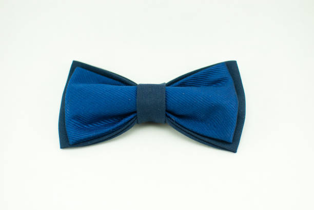 istock Well-designed stylish dark-blue bow tie made of soft cloth 673673134