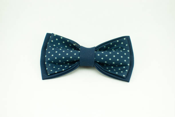 istock Well-designed stylish dark-blue bow tie made of soft cloth 673674596