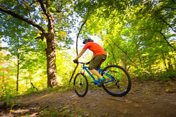 istock Mountain Biking in Wooded Biking Trail 673674902