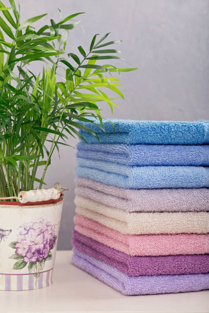 Stack of colorful bath towels with plant on light background. Pastel colors cotton towels. Hygiene, fabric,spa and textile concept Stack of colorful bath towels with plant on light background. Pastel colors cotton towels. Hygiene, fabric,spa and textile concept terry towel stock pictures, royalty-free photos & images
