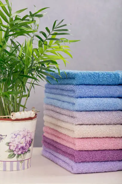 Stack of colorful bath towels with plant on light background. Pastel colors cotton towels. Hygiene, fabric,spa and textile concept