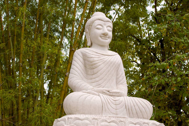 istock White Sitting Buddha Statue in Bamboo Grove, Phitsanulok Thailand 673687100