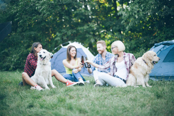 istock Friends on camping with dogs in nature 673716230