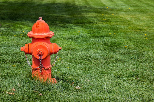 Bright Orange Fire Hydrant In Grassy Area