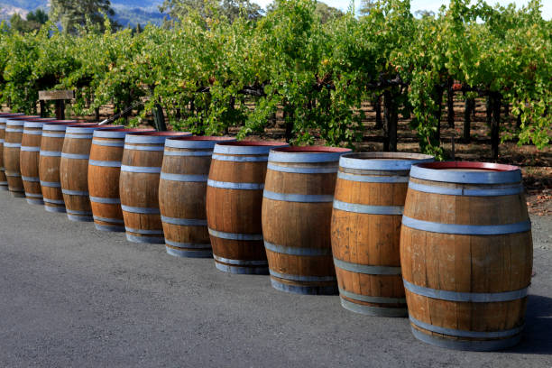 istock Wine barrels, Napa Valley, California 673719732