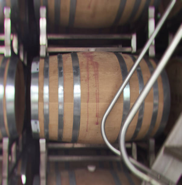 istock Wine barrels, stainless stairs 673726068