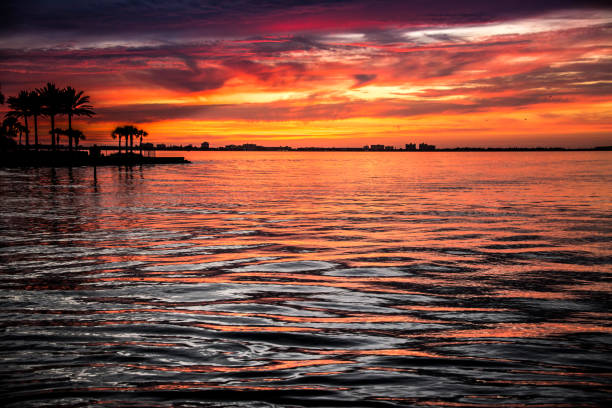 istock Tropical sunset colorful seas, palm 673738746