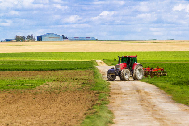 Agriculture Road, plantation and a tractor dirigir stock pictures, royalty-free photos & images