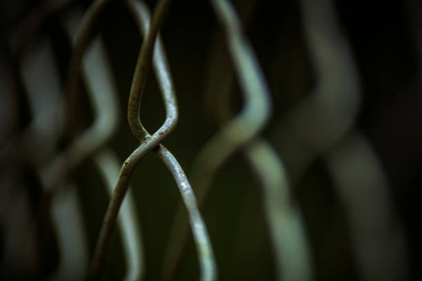 Simple and powerful image of a wire fence with blurred background and an olive green tone bringing memories of past times