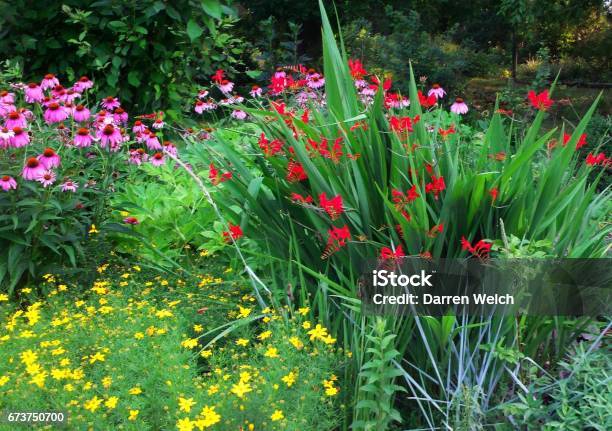 Cylburn Arboretum Flowers Stock Photo - Download Image Now - Baltimore - Maryland, Arboretum, Beauty