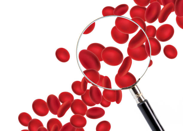 ilustrações de stock, clip art, desenhos animados e ícones de red blood cells - anemia