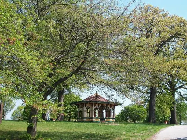 Photo of Latrobe Pavillion (Druid Hill Park - Baltimore, MD) as seen from a distance.  This shelter is a multicolored asian-inspired structure located at the top of a hill, situated  beneath a group of trees.