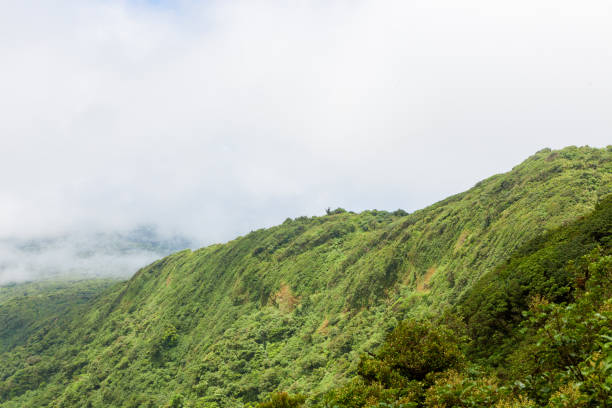 istock Rainforest landscape in Monteverde Costa Rica 673764910