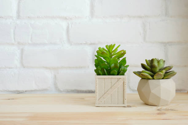 istock Plant pots on wood table over white brick wall background 673771246