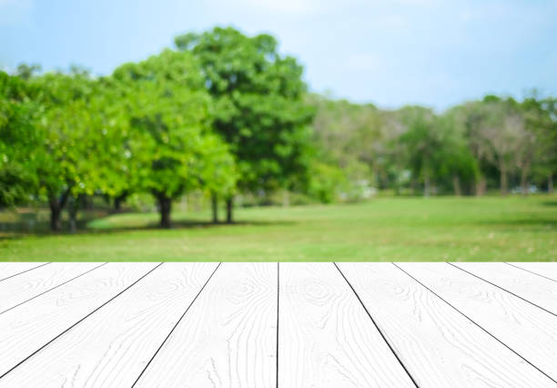 istock Perspective white wood over blur trees with bokeh background, product display montage,  spring and summer season 673771366