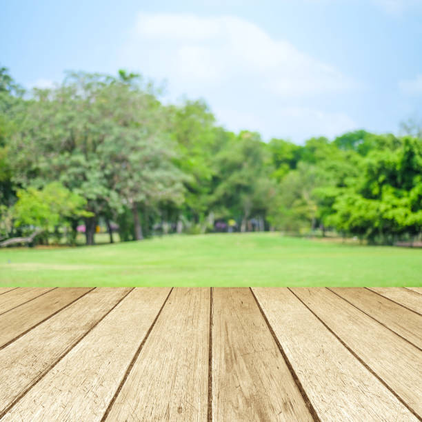 istock Perspective wood over blur park with bokeh background, product display montage,  spring and summer season 673771592