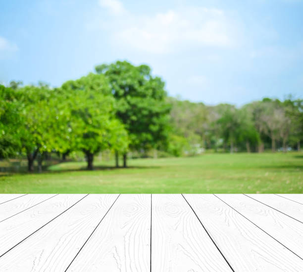 istock Perspective white wood over blur trees with bokeh background, product display montage,  spring and summer season 673771630