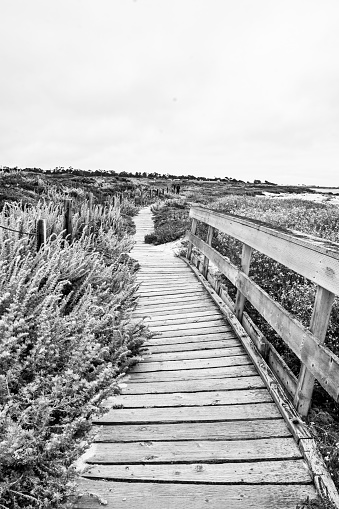 A black and white image of the boardwalk beach path at Asilomar Beach