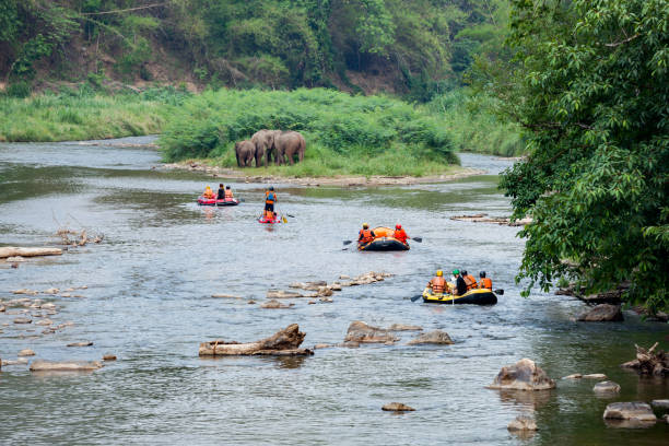 극단적이 고 재미 있는 스포츠, 강에서 래프팅 풍선에 여행자의 그룹 - rafting thailand river inflatable raft 뉴스 사진 이미지